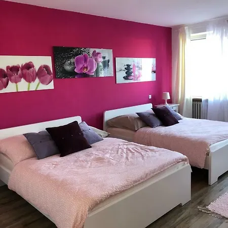 Apartment Altstadtwohnung Mit Donaublick